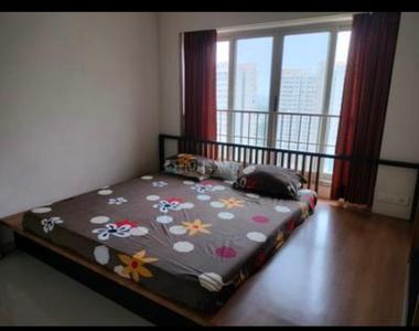 Bedroom Image of 1369 Sq.ft 3 BHK Apartment / Flat for rent in Adani The Meadows, Shantigram Ahmedabad for Rs. 55000