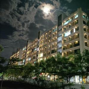 3 BHK Flat