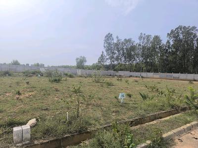 Image of 900 Sq.ft Residential Plot / Land for sale in Hoskote, Bengaluru for Rs. 2565000