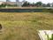 Sector 40 Plot View 2