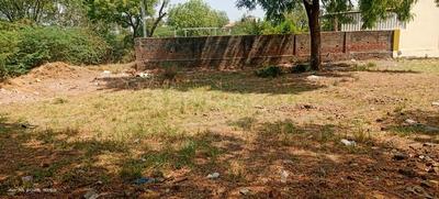 Ghuma Plot View 2