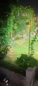 Balcony Image of 900 Sq.ft 2 BHK Builder Floor for rent in Vikaspuri Luxury Homes, Vikaspuri New Delhi for Rs. 18000