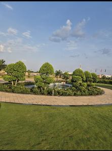 Image of 1000 Sq.ft Residential Plot / Land for sale in Raipura, Raipur for Rs. 3600000