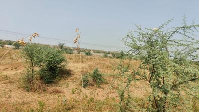 Image of 3369 Sq.ft Residential Plot / Land for sale in Jagatpura, Jaipur for Rs. 20345000