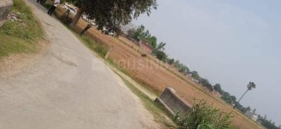 Image of 1000 Sq.ft Residential Plot / Land for sale in Maniram, Gorakhpur for Rs. 521000