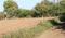 Sterling City Plot View 2