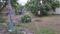 Muttukadu Land Plot View 2