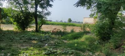 Image of 1300 Sq.ft 6 BHK Independent House for sale in DS Highend Amritsar, Gumtala, Amritsar for Rs. 10000000