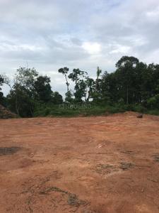 Image of 4000 Sq.ft 3 BHK Builder Floor for sale in Ambalathara, Thiruvananthapuram for Rs. 2000000