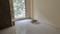 Naupada, Thane West Bedroom 2