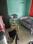 Hall Image of Krishna park duplex in Gotri, Vadodara