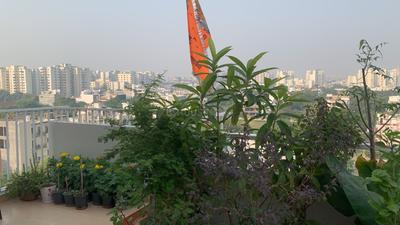 Balcony Image of 1850 Sq.ft 4 BHK Penthouse for sale in Gomti Nagar Extension Lucknow for Rs. 22800000