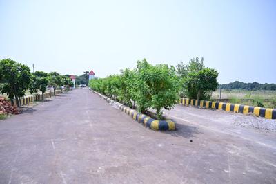 Image of 2000 Sq.ft Residential Plot / Land for sale in Sarojini Nagar, Lucknow for Rs. 2200000
