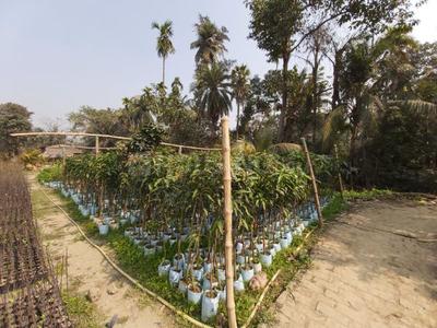 Image of 200 Sq.ft Residential Plot / Land for sale in Amtala, Kolkata for Rs. 9000000