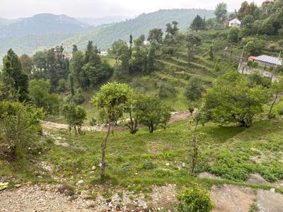 Image of 2700 Sq.ft Residential Plot / Land for sale in Mukteshwar, Nainital for Rs. 7500000