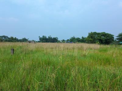 Image of 720 Sq.ft Residential Plot / Land for sale in Raspunja Township, Joka, Kolkata for Rs. 255566