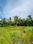 Arookutty Plot View 2