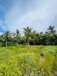 Image of 436 Sq.ft Residential Plot / Land for sale in Arookutty, Kochi for Rs. 375000