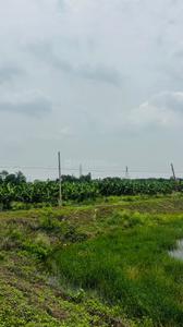 Image of 5000 Sq.ft Residential Plot / Land for sale in Kapasda, Durg for Rs. 2875000