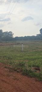 Image of 184 Sq.ft Residential Plot / Land for sale in Sampangi The Green Ridge, Alair, Yadadri Bhuvanagiri for Rs. 1800040