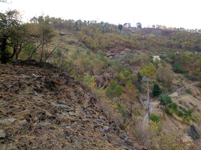 Image of 21780 Sq.ft Residential Plot / Land for sale in Beolia, Shimla for Rs. 80000000