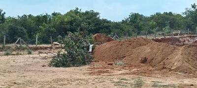 Image of 121 Sq.ft Residential Plot / Land for sale in Keesara, Secunderabad for Rs. 786500