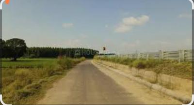 Image of 1800 Sq.ft Residential Plot / Land for sale in New Chandigarh, Chandigarh for Rs. 17000000
