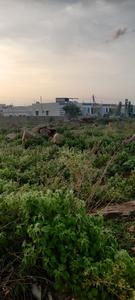 B. Thandrapadu Plot View 2
