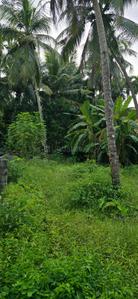 Image of 3000 Sq.ft Residential Plot / Land for sale in Panangad, Kozhikode for Rs. 7200000