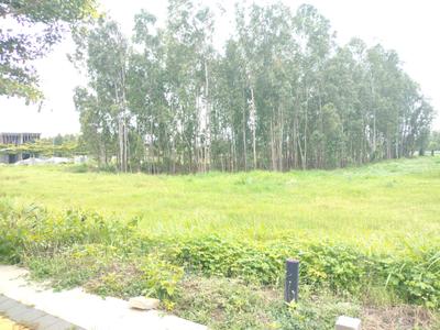 Image of 1320 Sq.ft Residential Plot / Land for sale in Electronic City, Bengaluru for Rs. 9100030