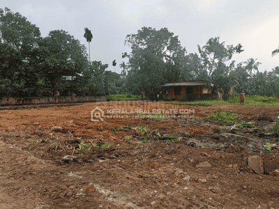 Image of 13068 Sq.ft Residential Plot / Land for sale in Ottapalam, Palakkad for Rs. 6000000