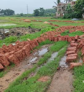 Image of 1200 Sq.ft Residential Plot / Land for sale in Benupur, Bhubaneswar for Rs. 2760000
