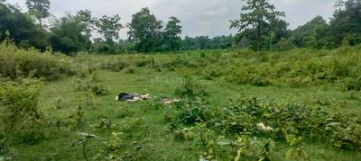 Image of 1800 Sq.ft Residential Plot / Land for sale in Chitrada, Mayurbhanj for Rs. 180000