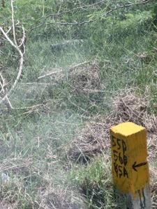 Image of 1200 Sq.ft Residential Plot / Land for sale in Singaperumal Koil, Chennai for Rs. 2900000
