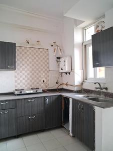 Kitchen Image of 1000 Sq.ft 2 BHK Apartment / Flat for rent in Amrapali Princely Estate, Sector 76 Noida for Rs. 36000