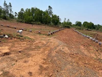 Image of 1200 Sq.ft Residential Plot / Land for sale in Ashok Nagar, Bhubaneswar for Rs. 418800