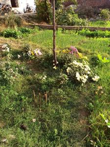 Image of 2242 Sq.ft Residential Plot / Land for sale in Batala, Gurdaspur for Rs. 1500000