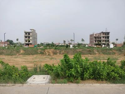 Amolik Aster Woods Plot View 1