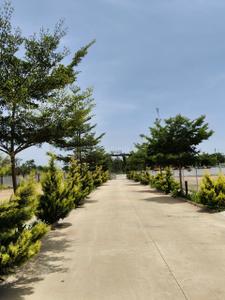 Image of 1000 Sq.ft Residential Plot / Land for sale in Doddenahalli, Bengaluru for Rs. 8300000