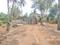 JR Coconest Prime Internal Roads 1