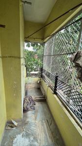 Image of 1066 Sq.ft 3 BHK Apartment / Flat for rent in Baikunth Dham, Indore for Rs. 35000