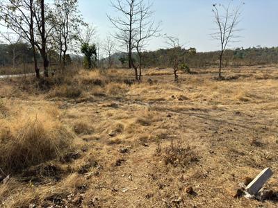 Image of 32041 Sq.ft Residential Plot / Land for sale in Kurung, Thane for Rs. 6500000