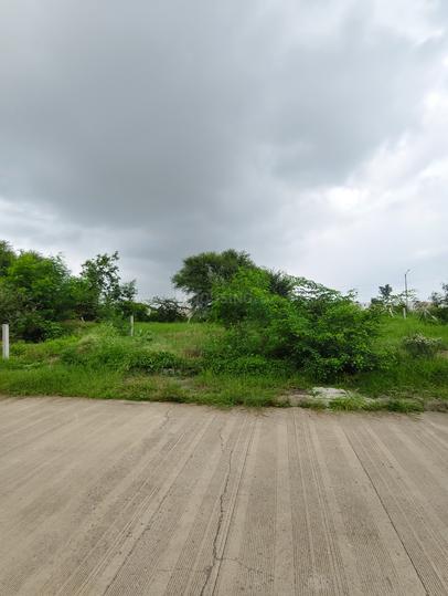 Mandu dhar Main Image 1