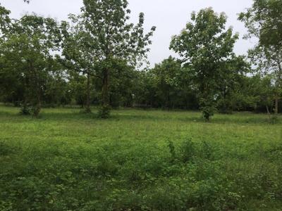 Image of 4800 Sq.ft Residential Plot / Land for sale in Maraimalai Nagar, Chennai for Rs. 4800000