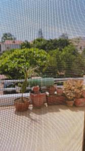 Balcony Image of 2603 Sq.ft 4 BHK Villa for rent in Jatti Dwarakamai, Whitefield Bengaluru for Rs. 80000
