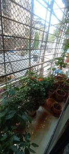 Balcony Image of 1200 Sq.ft 2 BHK Apartment / Flat for rent in Sanpada Navi Mumbai for Rs. 60000