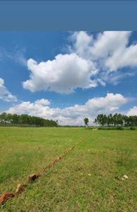 Image of 900 Sq.ft Residential Plot / Land for sale in Dharatal Shakumbhari Estate, Wazeedpur, Saharanpur for Rs. 900000