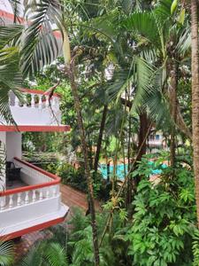 Image of 490 Sq.ft 1 RK Studio for sale in Arpora, Goa for Rs. 6300000