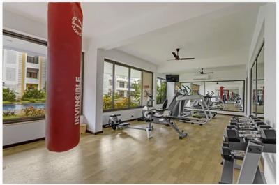 Image of 810 Sq.ft 1 BHK Apartment / Flat for sale in Baga, Goa for Rs. 14500000