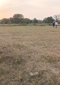 Image of 62560 Sq.ft Residential Plot / Land for sale in Mohansarai, Varanasi for Rs. 101200000